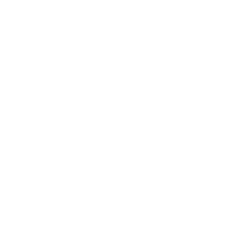 SkyFlip Rental